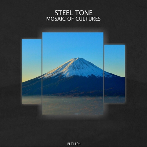 Steel Tone - Mosaic of Cultures [PLTL104]